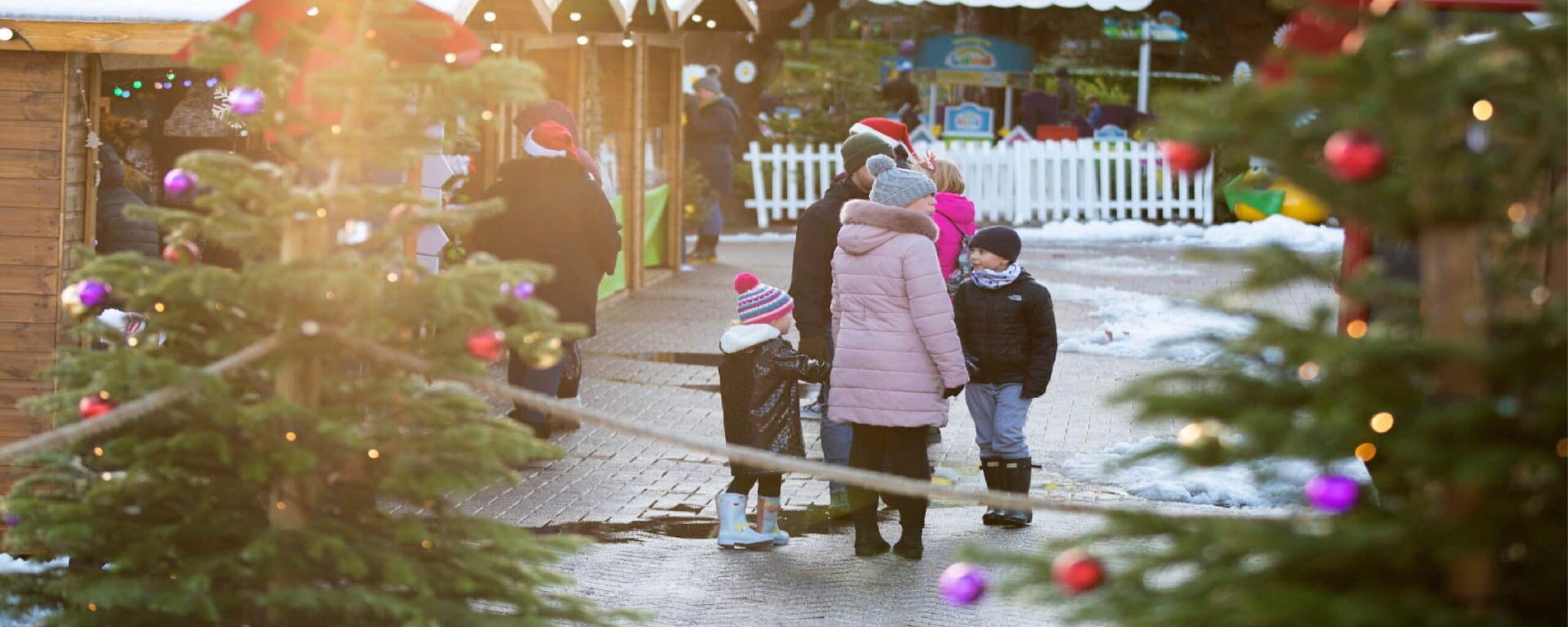 10 Winter Wonders in Alton: Cosy Adventures & Festive Fun